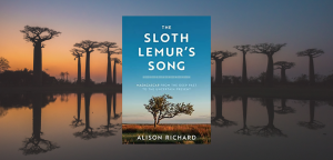 The Sloth Lemur's Song
