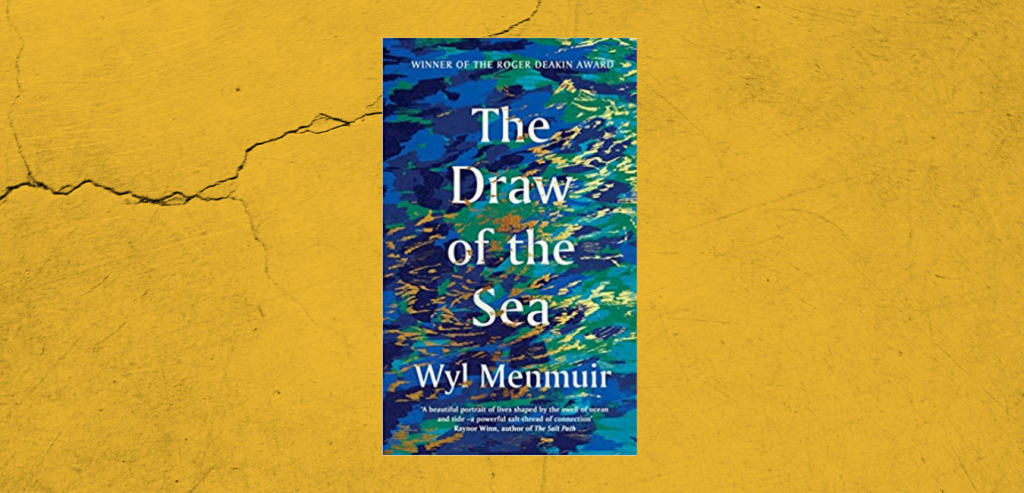 The Draw of the Sea by Wyl Menmuir