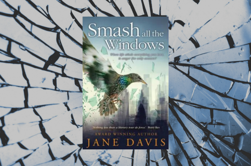 Smash all the Windows by Jane Davis