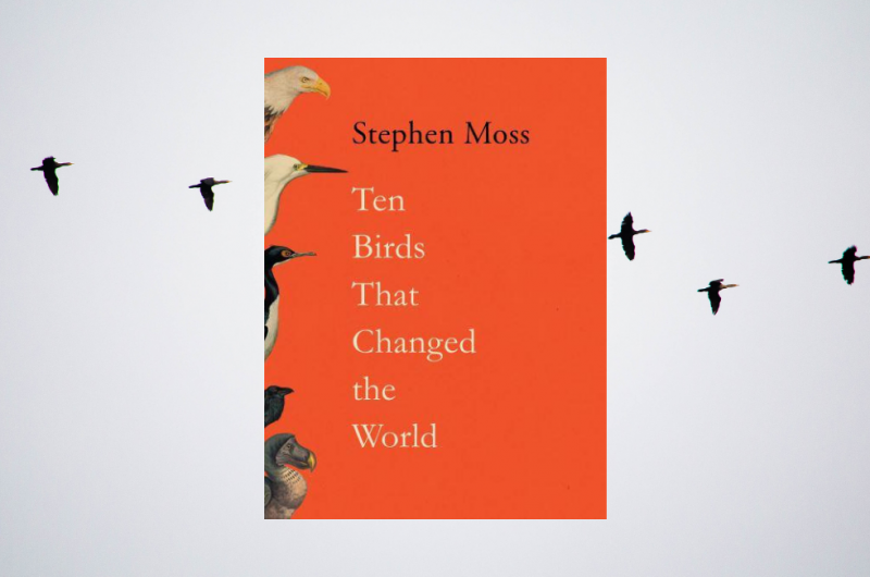 Ten Birds that Changed The World by Stephen Moss