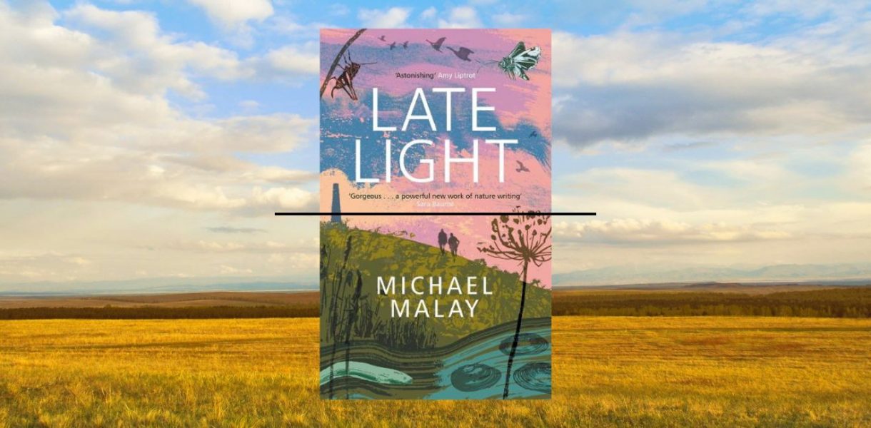 Late Light by Michael Malay
