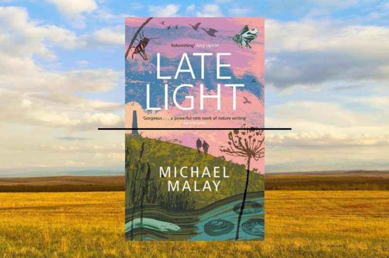 Late Light by Michael Malay