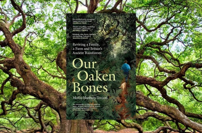 Our Oaken Bones by Merlin Hanbury-Tenison