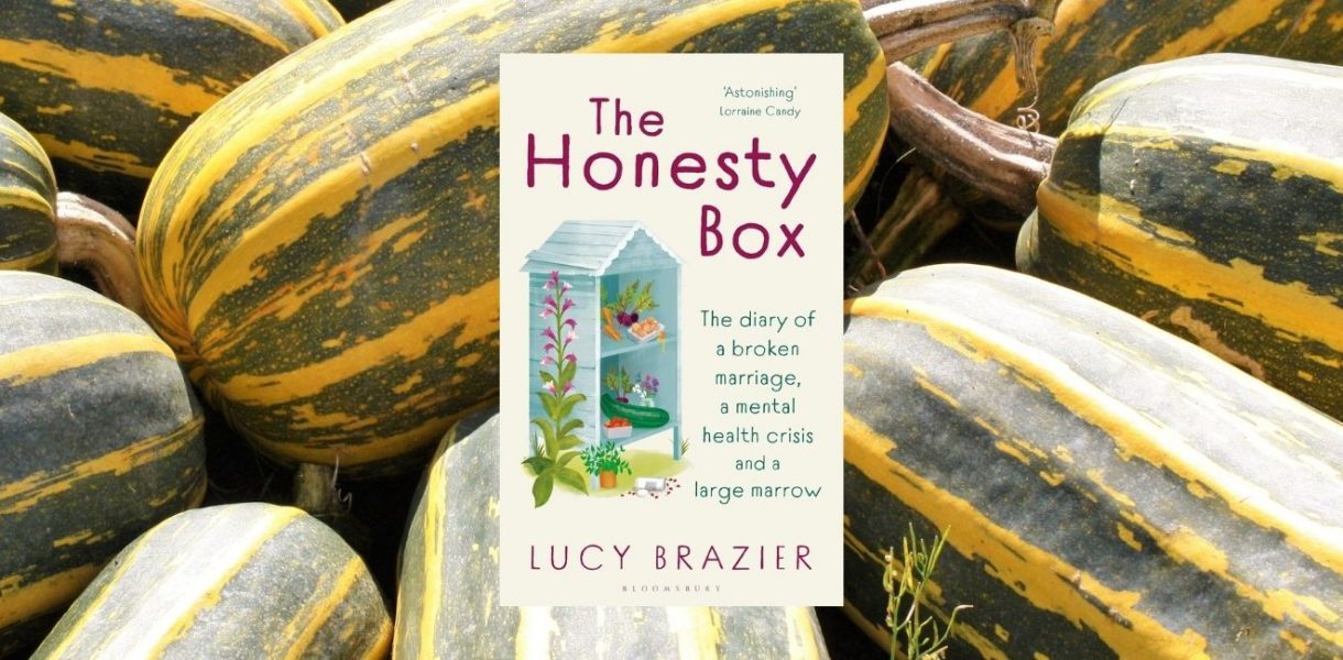 The Honesty Box by Lucy Brazier - 9781526672957