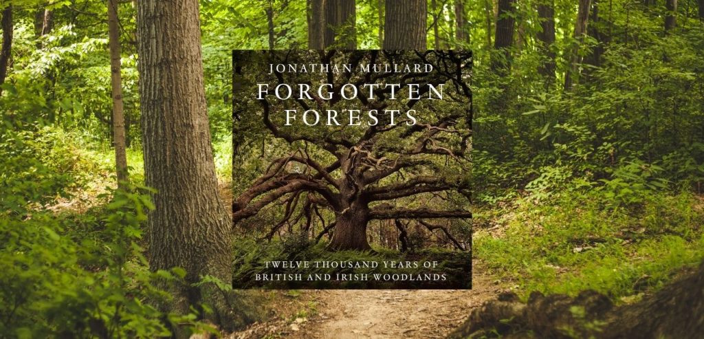 Forgotten Forests: Twelve Thousand Years of British and Irish Woodlands by Jonathan Mullard - 9780008561079