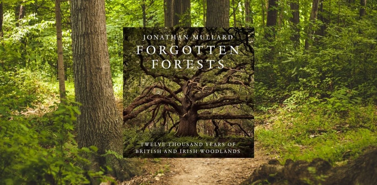 Forgotten Forests: Twelve Thousand Years of British and Irish Woodlands by Jonathan Mullard - 9780008561079