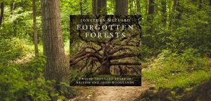Forgotten Forests: Twelve Thousand Years of British and Irish Woodlands by Jonathan Mullard - 9780008561079