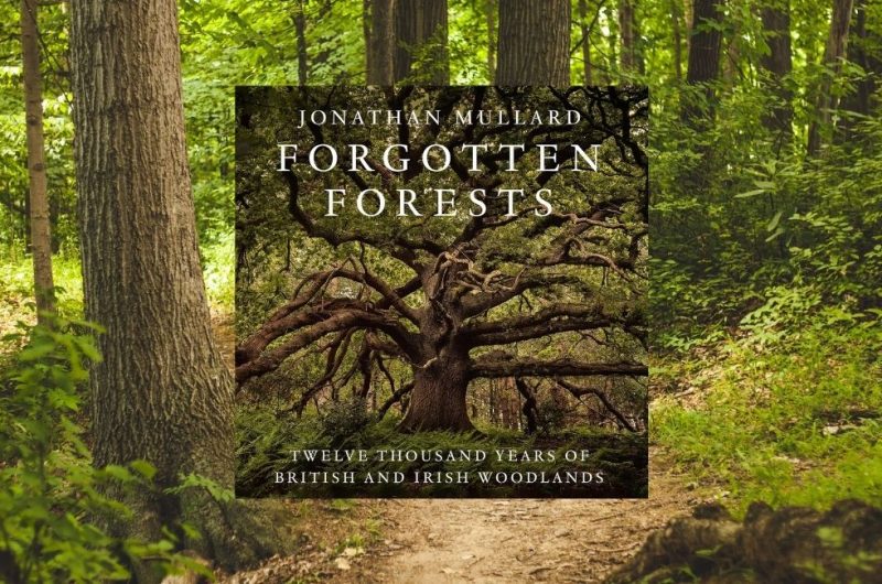 Forgotten Forests: Twelve Thousand Years of British and Irish Woodlands by Jonathan Mullard - 9780008561079