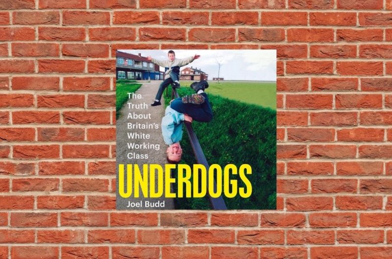 Underdogs The Truth about Britains White Working Class by Joel Budd