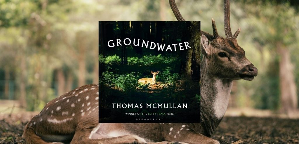 Groundwater by Thomas McMullan
