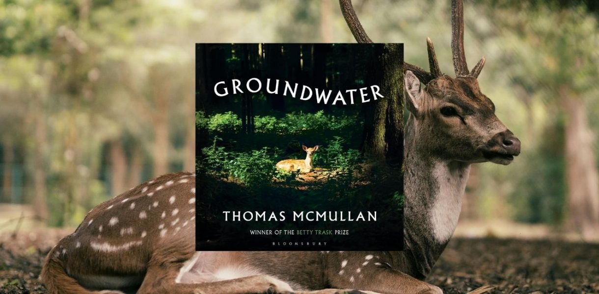 Groundwater by Thomas McMullan