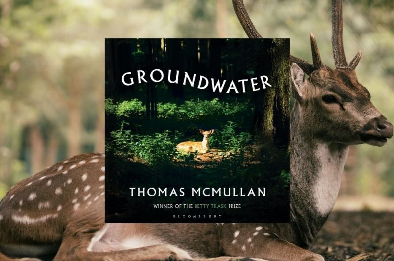 Groundwater by Thomas McMullan