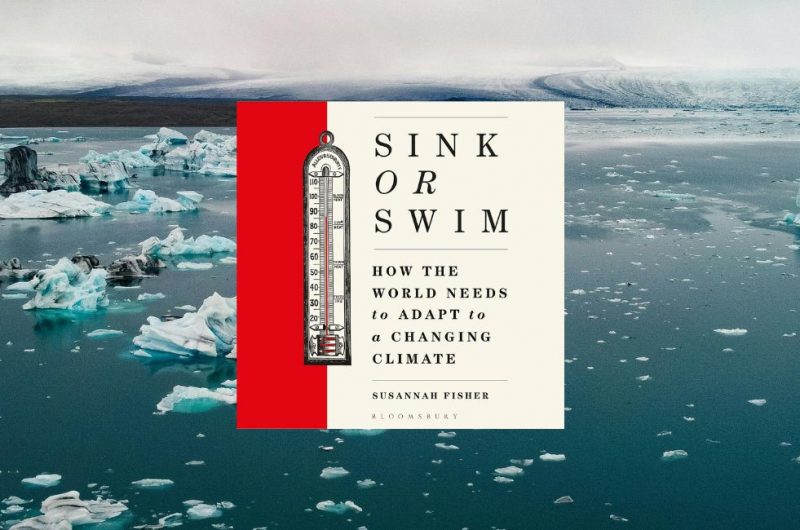 Sink or Swim by Susannah Fisher - 9781399414067