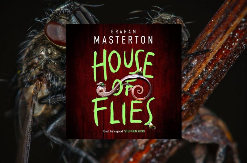 House of Flies