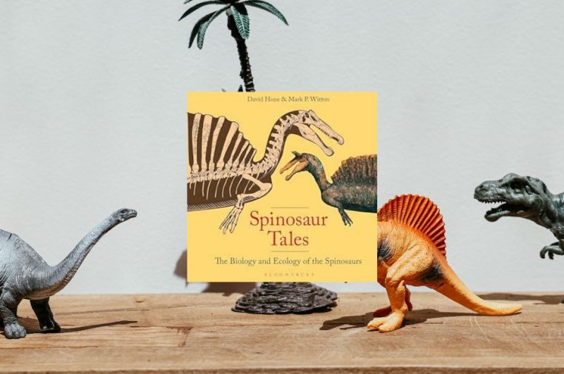 Spinosaur Tales: The Biology and Ecology of the Spinosaurs by David Hone & Mark Witton