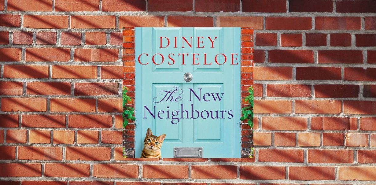 The New Neighbours by Diney Costeloe