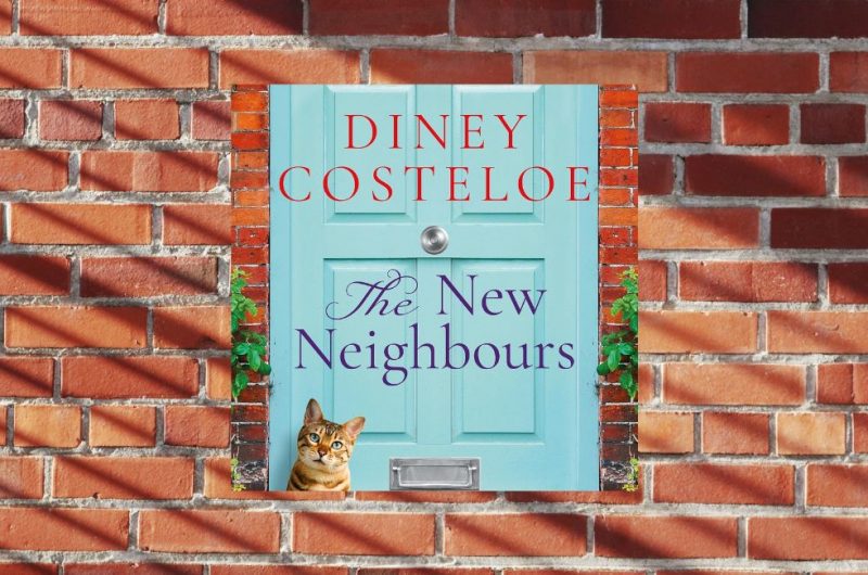 The New Neighbours by Diney Costeloe