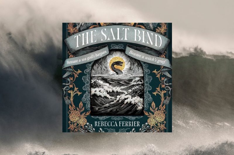 The Salt Bind by Rebecca Ferrier - 9781408748695