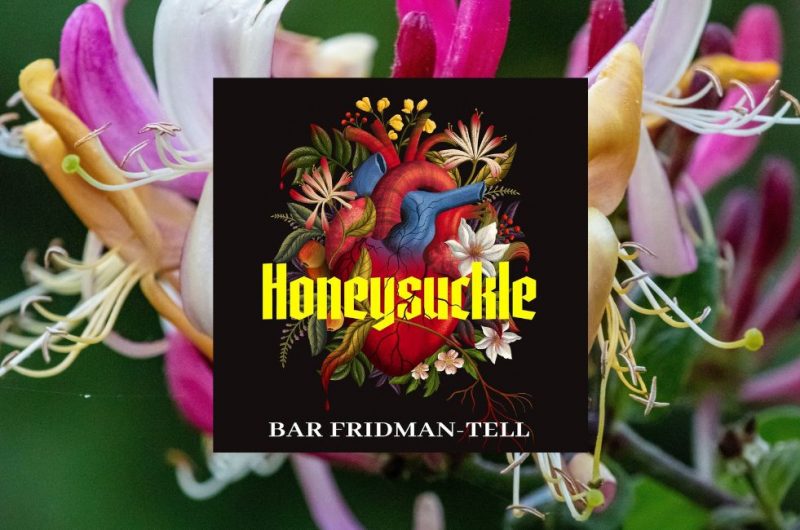 Honeysuckle by BAR FRIDMAN-TELL