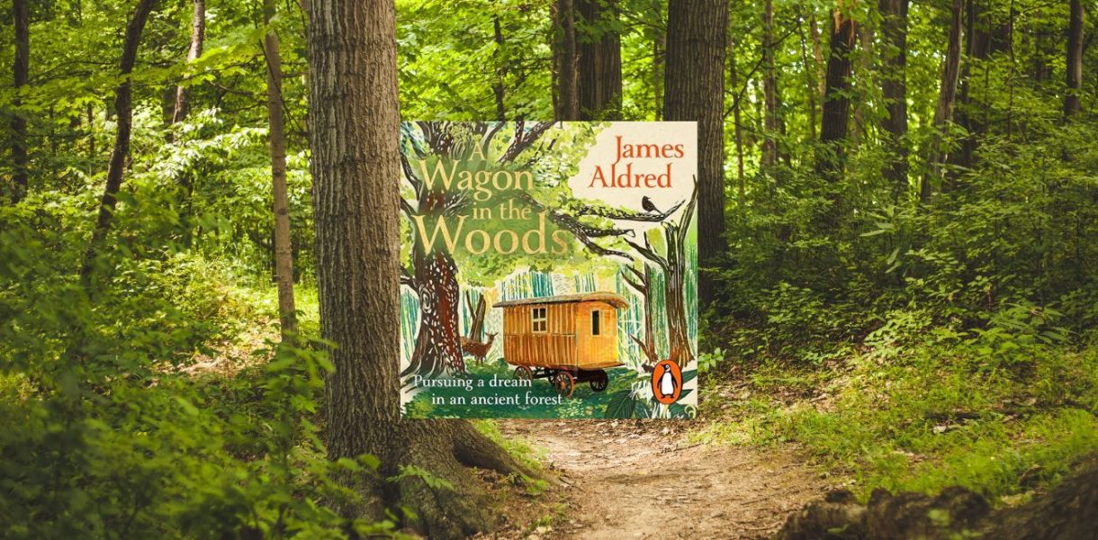 A Wagon in the Woods by James Aldred