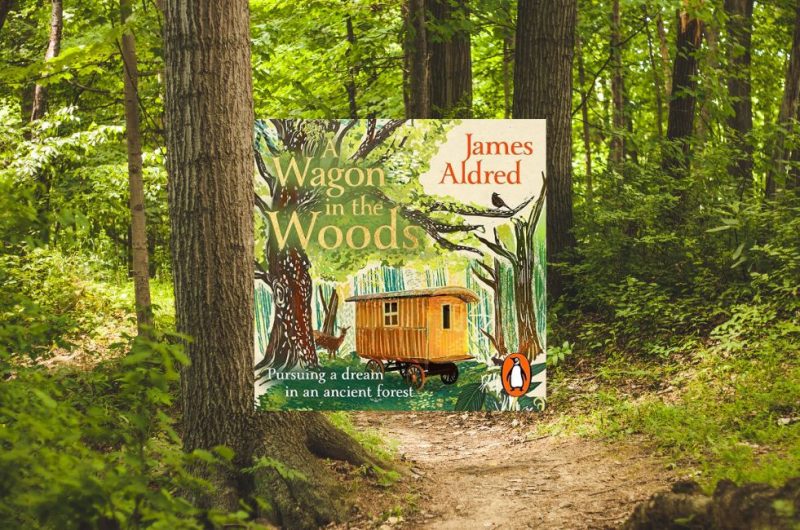 A Wagon in the Woods by James Aldred