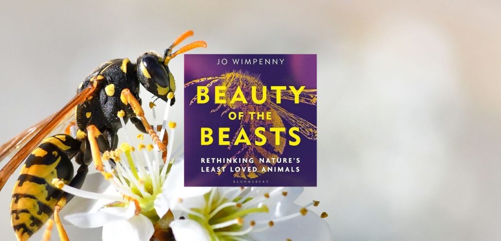 Beauty of the Beasts: Rethinking Nature's Least Loved Animals by Jo Wimpenny